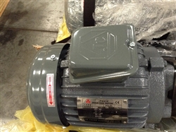 HYDRAULIC MOTOR