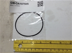 O-RING