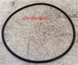 O-RING (G120) (NOK)